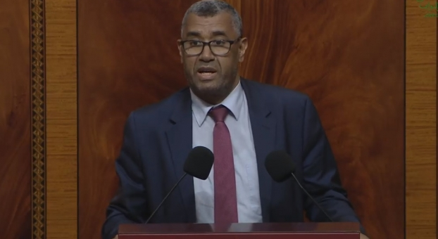 بووانو: تقرير "المنظومة الصحية" مدعاة للافتخار وبعض الوعود الانتخابية في قطاع الصحة غير موضوعية