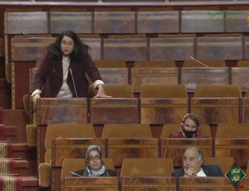 البردعي تحيط الحكومة علما بمعاناة المغاربة العالقين بالخارج بسبب إغلاق الحدود