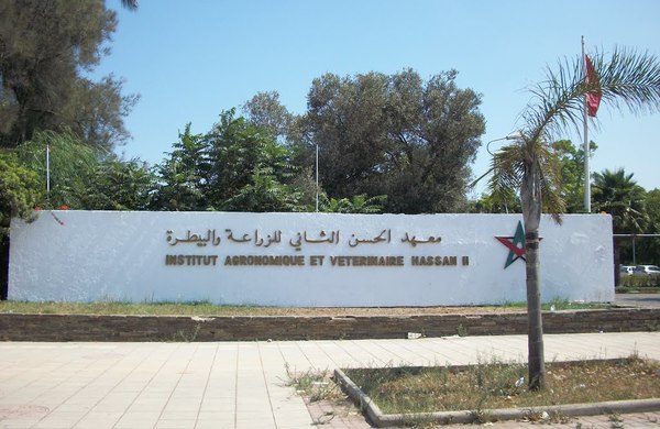 بووانو يطالب بفتح تحقيق حول "معاقرة الخمر" بنادي أساتذة "الحسن الثاني للزراعة والبيطرة" 