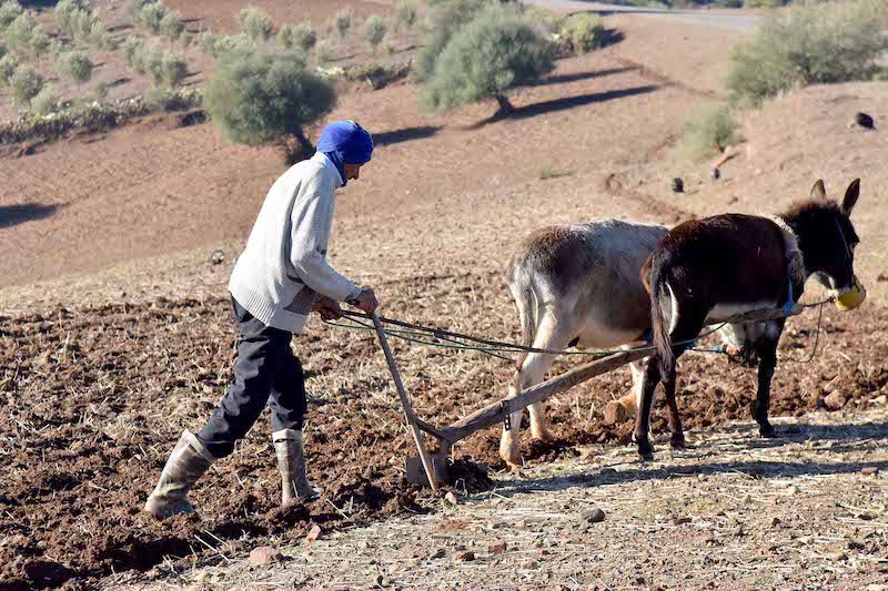 باتا تسائل رئيس الحكومة عن إمكانية توجيه "أوراش" لساكنة القرى والبوادي