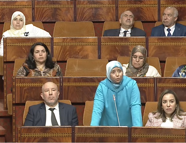 الفتحاوي: "الخطوط المغربية" تدفع الطيارين المغاربة للهجرة للعمل بالخارج 