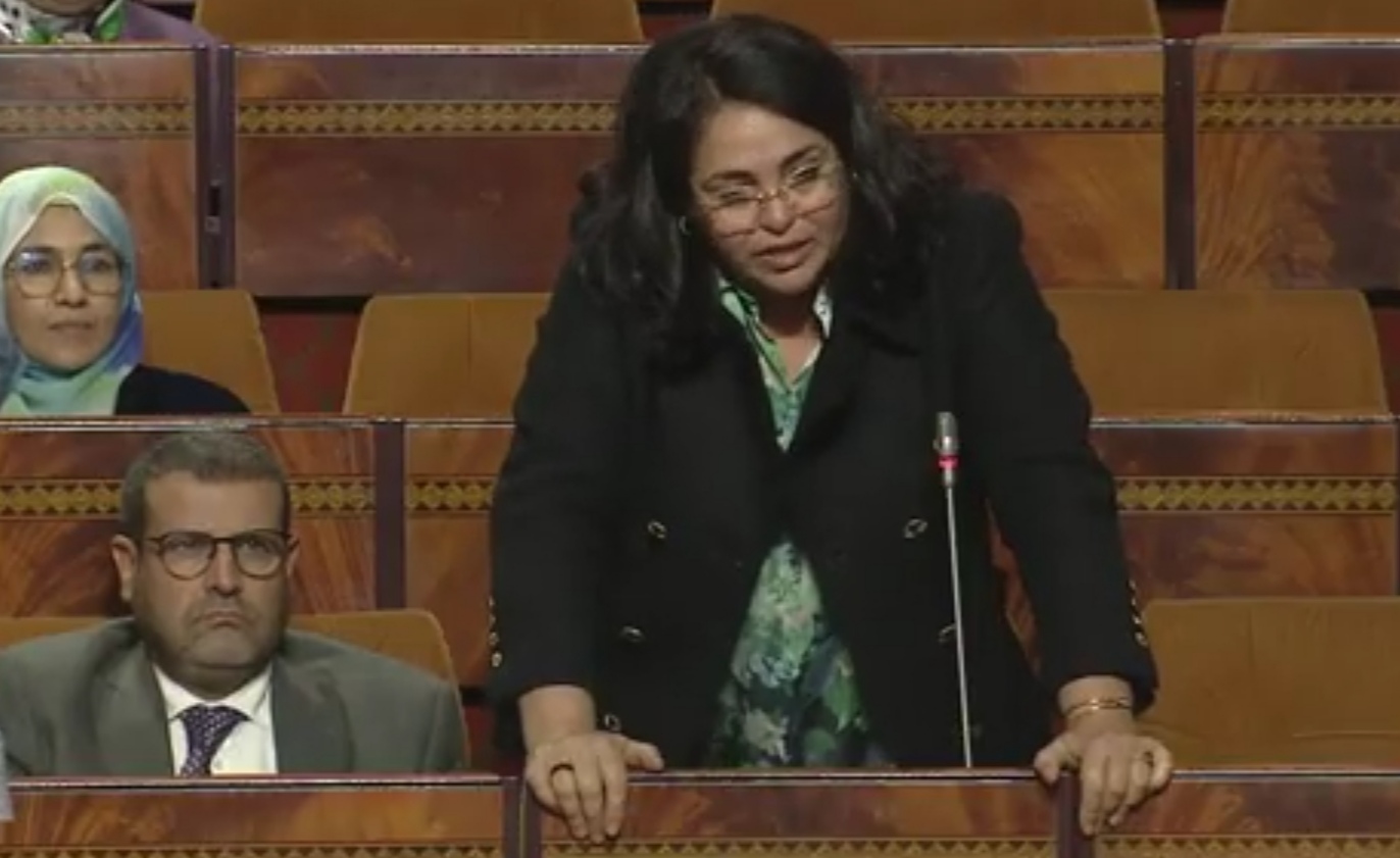 البردعي: المغرب يعرف تلوثا يسببه زواج المال بالسلطة