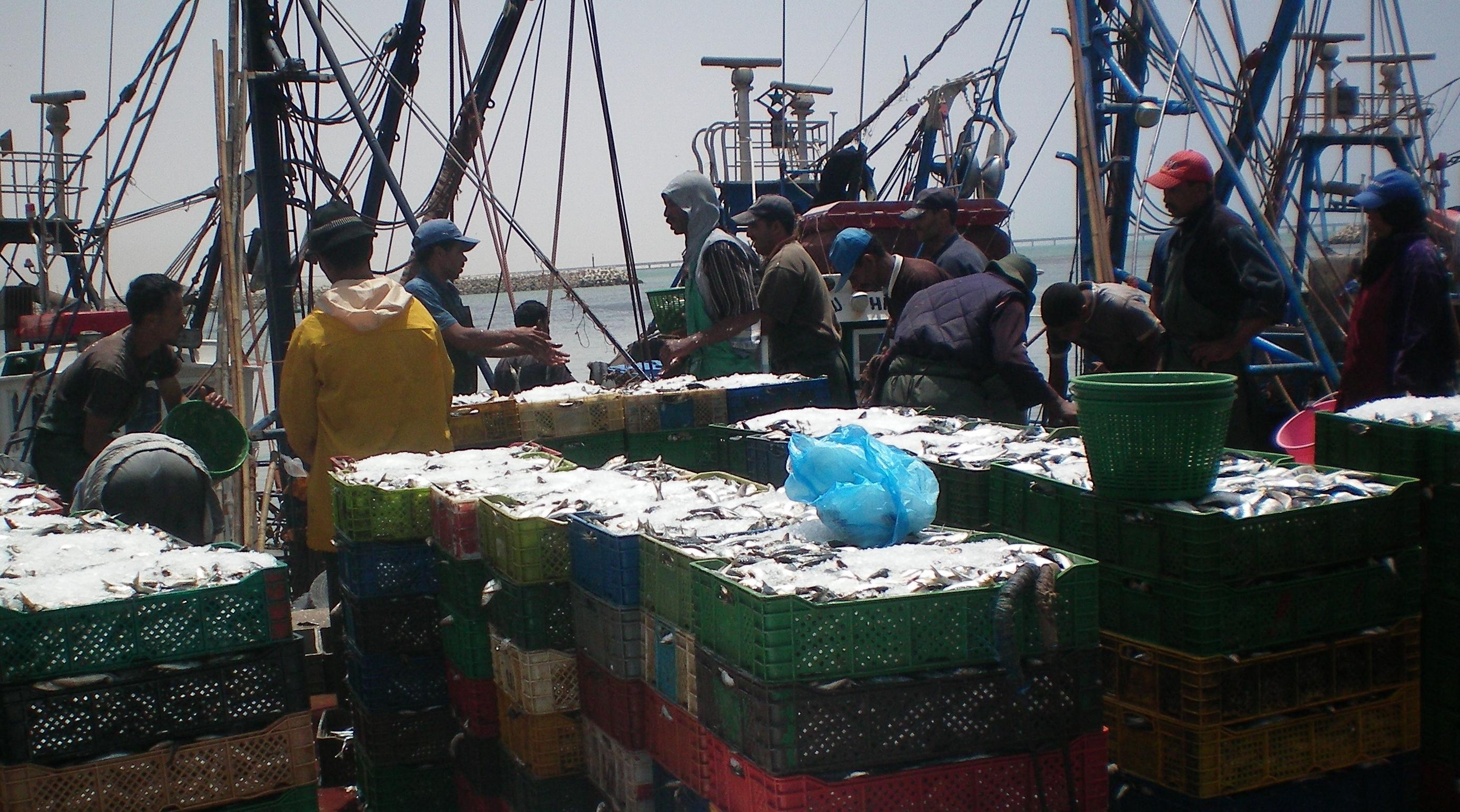 الثلاثاء 9 يوليوز.. لقاء دراسي لـ"العدالة والتنمية" حول الصيد البحري بالمغرب 