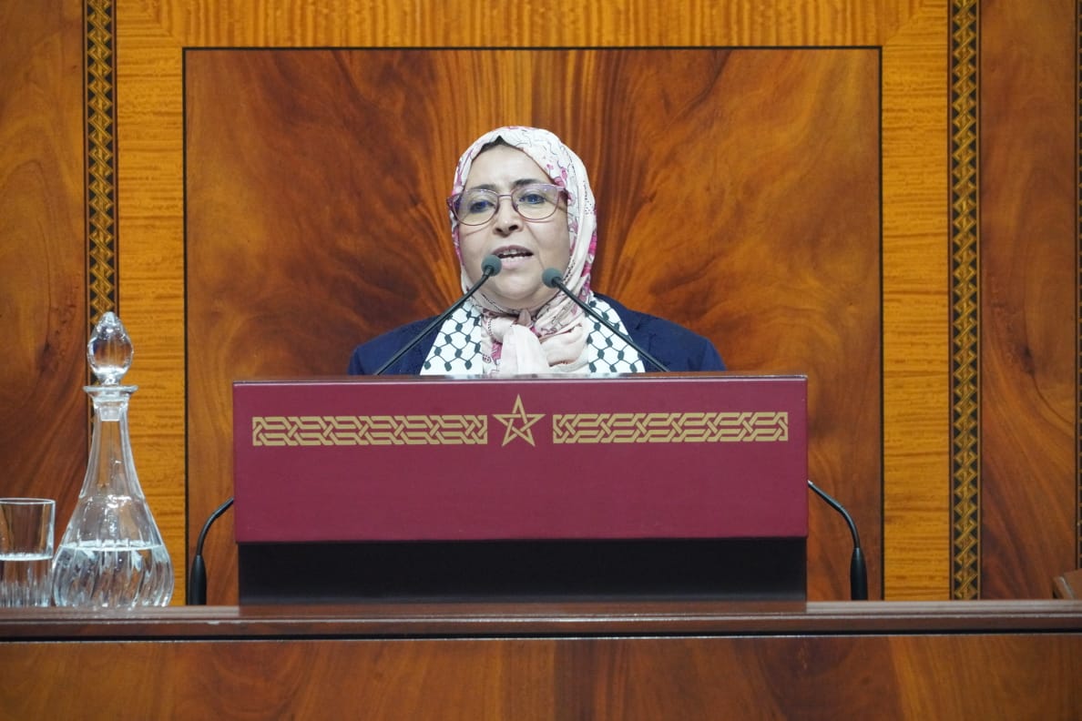 الفتحاوي: تضارب المصالح والتشريع على المقاس تفاقما في المغرب مع حكومة "8 شتنبر 2021" (مداخلة)