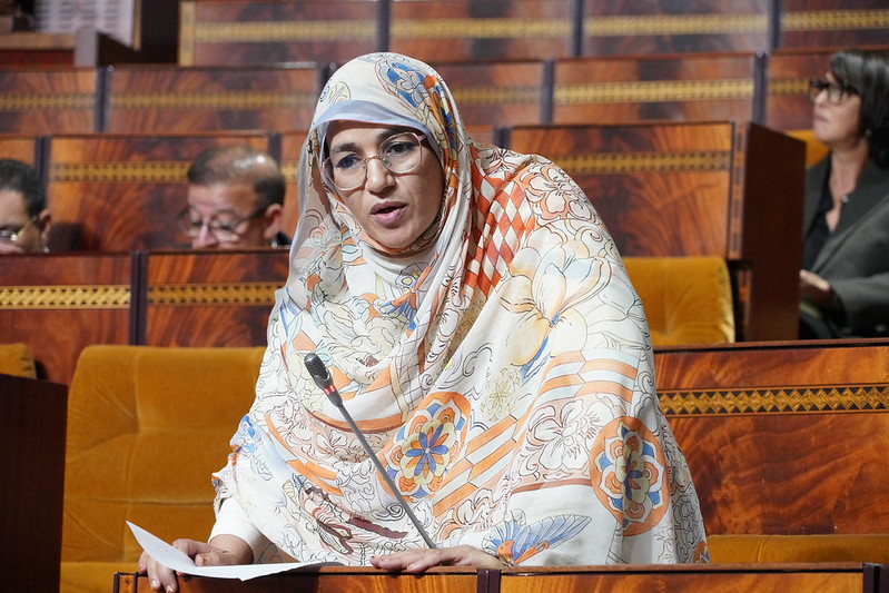 ابلاضي: الحكومة باعت الوهم للمغاربة